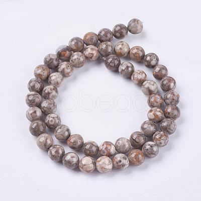 Natural Maifanite/Maifan Stone Beads Strands X-G-I187-8mm-01-1