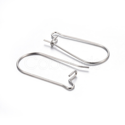 Tarnish Resistant 304 Stainless Steel Hoop Earring Findings X-STAS-P223-01P-05-1