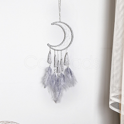 Woven Net/Web with Feather with Iron Home Crafts Wall Hanging Decoration PW-WG99488-01-1