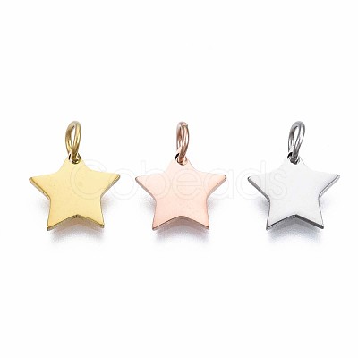 304 Stainless Steel Charms STAS-T059-27-1