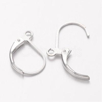 Platinum Plated Brass Leverback Earring Findings X-KK-H670-N-NF-1