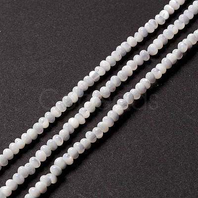 Natural Trochid Shell/Trochus Shell Beads Strands X-SSHEL-O001-24B-02-1