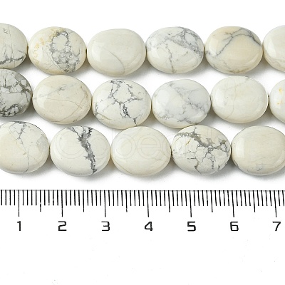 Natural Howlite Beads Strands G-K365-B14-02-1