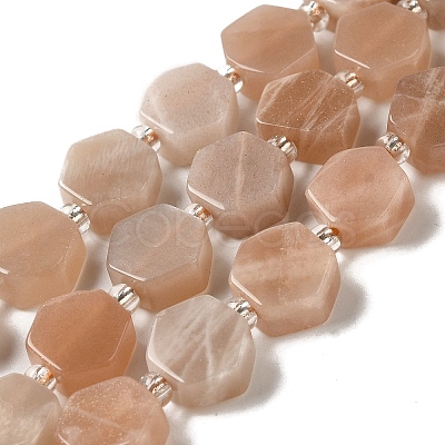 Natural Sunstone Beads Strands G-P534-A09-02-1