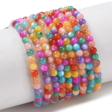 Natural Freshwater Shell Beads Strands SHEL-P017-02-1