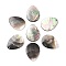 Natural Black Shell Pendants, Oval Charms, 28.5x21x2mm, Hole: 1.8mm