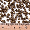 6/0 Glass Seed Beads SEED-A009-4mm-601-3