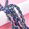 Natural Lapis Lazuli Beads Strands G-K311-01A-01-1