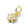 Brass Micro Pave Clear Cubic Zirconia Charms KK-H475-59G-07-2