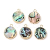 Natural Paua Shell Pendants SHEL-P017-23G-1