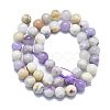 Natural Purple Opal Beads Strands G-K245-A07-D04-2