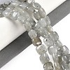 Natural Labradorite Beads Strands G-M435-A11-01-2