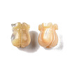 Natural Trochid Shell/Trochus Shell Beads SSHEL-N003-145B-A02-3