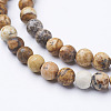 Gemstone Beads Strands X-GSR4mmC016-2