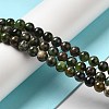 Natural Chrysoprase Beads Strands G-H298-A09-02-2