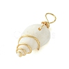 Natural Spiral Shell Pendants PALLOY-JF02792-01-4