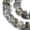 Natural Labradorite Beads Strands G-N327-07A-3