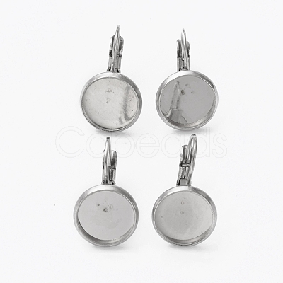 Tarnish Resistant 304 Stainless Steel Leverback Earring Findings STAS-L253-005D-P-1