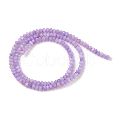 Natural Freshwater Shell Dyed Beads Strands SHEL-R100-13A-01-1