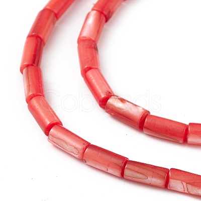 Natural Freshwater Shell Dyed Beads Strands SHEL-M018-11-07-1