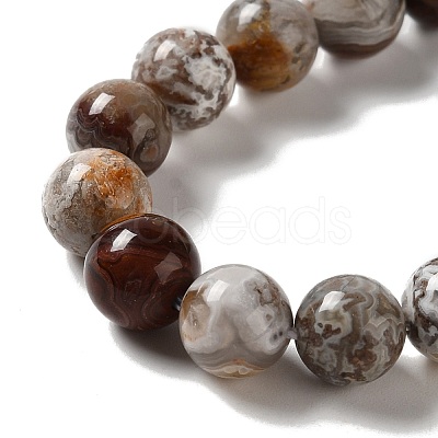 Natural Mexican Lace Agate Beads Strands G-E578-02B-1