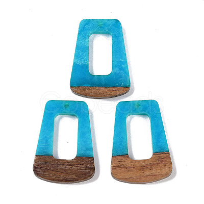 Resin & Wood Pendants WOOD-F015-11E-1