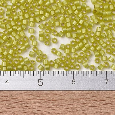 MIYUKI Delica Beads SEED-J020-DB2187-1