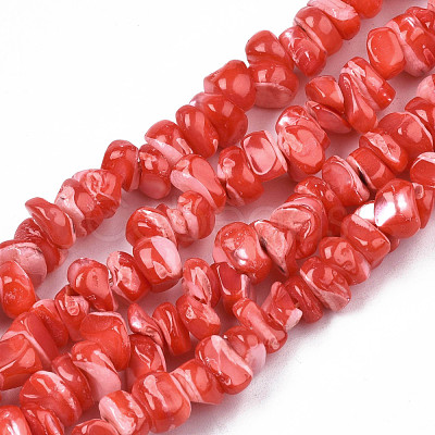 Natural Freshwater Shell Beads Strands SHEL-N003-23-B04-1