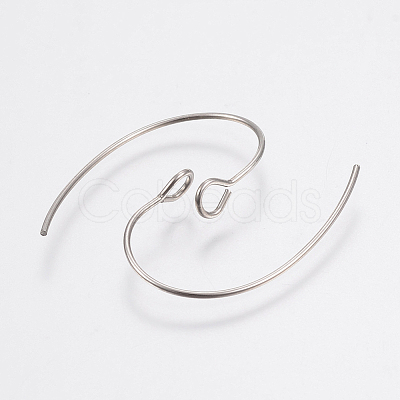 Tarnish Resistant 304 Stainless Steel Earring Hooks STAS-F148-05P-1