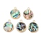 Natural Paua Shell Pendants, Flat Round Charms with Brass Edge, Golden, 18x14.5x3~4mm, Hole: 1.8mm