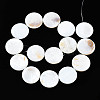 Natural Freshwater Shell Beads Strands X-SHEL-Q024-006-2