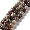 Natural Mexican Agate Beads Strands G-E578-02C-1