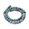 Natural Chrysocolla Beads Strands G-L552H-12-3