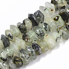 Natural Prehnite Beads Strands G-R462-18-1
