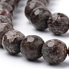 Natural Snowflake Obsidian Beads Strands G-Q462-89-12mm-3