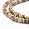 Natural Fossil Coral Beads Strands G-F481-06-5mm-3