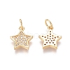 Brass Micro Pave Clear Cubic Zirconia Charms ZIRC-I036-03G-1