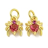 Rack Plating Brass Micro Pave Cubic Zirconia Spider Charms ZIRC-I065-02-2