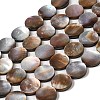 Natural Sea Shell Beads Strands SHEL-K006-34-1