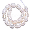 Natural Cultured Freshwater Pearl Beads Strands PEAR-N012-06K-2