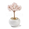 Natural Rose Quartz Chips Tree Decorations DJEW-M012-01D-1