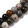 Natural Dendritic Jasper Beads Strands G-R494-A23-02-1