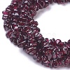 Natural Garnet Chip Beads Strands X-G-L491-06-2