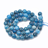 Natural Apatite Beads Strands G-S333-7.5mm-012-3