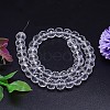 Faceted Flat Round Imitation Austrian Crystal Bead Strands G-M186-8x6mm-02A-2