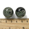 Natural Rhyolite Jasper Round Ball Figurines Statues for Home Office Desktop Decoration G-P532-02A-11-3
