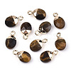 Natural Tiger Eye Charms G-N326-58C-1