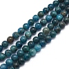 Natural Apatite Beads Strands G-F591-01-6mm-1