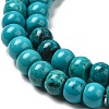 Natural Howlite Beads Strands G-B049-C01-05A-4