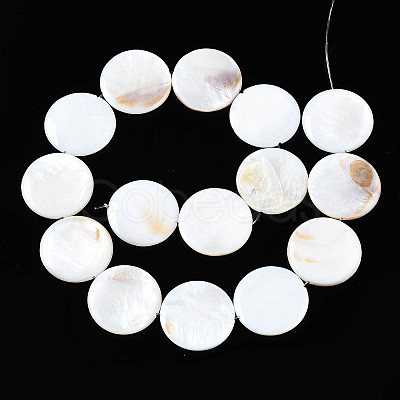 Natural Freshwater Shell Beads Strands X-SHEL-Q024-006-1